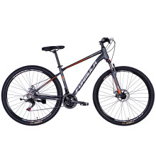 Велосипед 29" FORMULA MOTION DD 2026